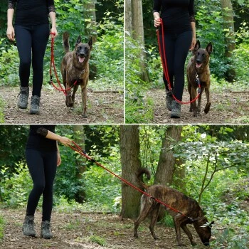 Lionto Verstellbare Hundeleine, Doppelleine Rot 2 Lionto Verstellbare Hundeleine, Doppelleine Rot – Bild 2