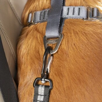 Kurgo Swivel Tether Hunde-Sicherheitsgurt 8 Kurgo Swivel Tether Hunde-Sicherheitsgurt – Bild 8