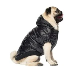 Canada Pooch Glänzende Pufferweste XXS -Haustierprodukte 8ec11177ec9f86d200ff22bc3e0c234ecff91e7e dfb5b396c833a1ace7625fc5796632bee13eda68