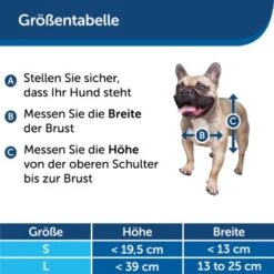 PetSafe SmartDoor Elektronische Hundeklappe, Größe L, Weiß -Haustierprodukte 925e478f29d003773bb1a75ff2dca34b8fd01bcb 1481147 de DE 97a3b7c824f790031bfdcd0c97ad3f7b292d44bcBPwM27