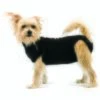 Trovet Hundebody Recovery Suit Schwarz XXS