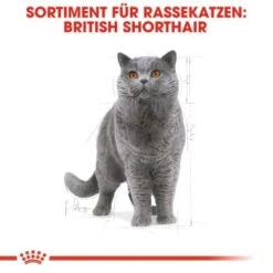ROYAL CANIN British Shorthair Adult 2 Kg -Haustierprodukte 9365d2e698cecd605cd1a65c1f6739678bb8db93 b918cdac1f0d9facd4834fa0fbe07edcafd8fe8b
