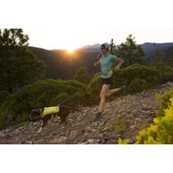 Ruffwear Trail Runner™ Laufgurt Limonen Gelb L-XL -Haustierprodukte 93a58c4fc27710218901d94aece28188b07bd319 1651444 de DE 8247d7fe22d77de2e7ea731c778011a0fe985828KUUc7c
