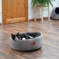 Schlitzohr Donut Katzenbett Sissy Rund -Haustierprodukte 93a74e7c841d115316b93ad36bf7a8fd40fe796b 1484677 de DE 6b65eb45f4cd3b97b38b83208a46a01c0cf0b3536stxie
