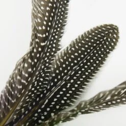 Schlitzohr Katzenangel Federanhänger 5x 16 Schlitzohr Katzenangel Federanhänger 5x -Haustierprodukte 93b8e0c984d323f24d455bf8e74e2dbacef5703e 1484675 de DE 7b80f213f44ebcad765dbdebc25bf2d2f0177dbd64kHU2