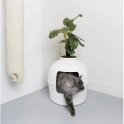 RHR Quality Katzentoilette Flower XXL 8 RHR Quality Katzentoilette Flower XXL -Haustierprodukte 93f503e3b5e2d21cc0461e97d9127562df0337e6 1641853 de DE 1e822790dd4545375dbf65f839e659bd6b299a76bokJue