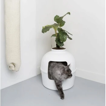 RHR Quality Katzentoilette Flower XXL 3 RHR Quality Katzentoilette Flower XXL – Bild 3