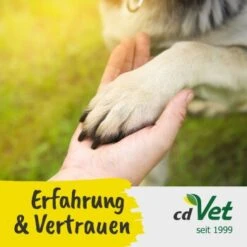 Fit-BARF SafeComplete 350 G -Haustierprodukte 9492ac4489cec81663caa600191d65977e3fdcfc 1667841 de DE 528921b6de88d102e9fc6f77543f8fb3f894d78aCA5zPe