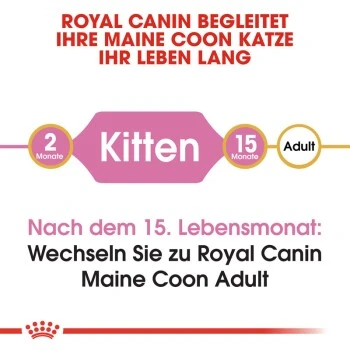 ROYAL CANIN Maine Coon Kitten 4 Kg 5 ROYAL CANIN Maine Coon Kitten 4 Kg – Bild 5