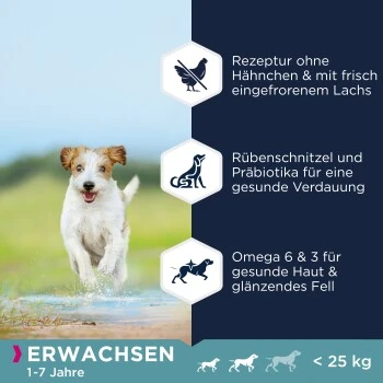 EUKANUBA Getreidefrei Mit Fisch Für Kleine Und Mittelgroße Rassen 12 Kg 2 EUKANUBA Getreidefrei Mit Fisch Für Kleine Und Mittelgroße Rassen 12 Kg – Bild 2
