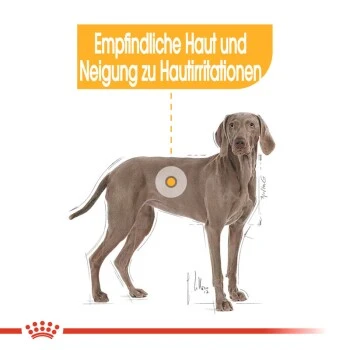 ROYAL CANIN Dermacomfort Maxi 12 Kg 7 ROYAL CANIN Dermacomfort Maxi 12 Kg – Bild 7