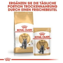 ROYAL CANIN British Shorthair 12x85g -Haustierprodukte 979463e526b8aec711ad3c08fb414444e9d36d40 4c88cd0b2bc9c30f47889b3683ee9f7b75c80663