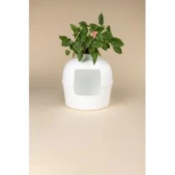 RHR Quality Katzentoilette Flower XXL 10 RHR Quality Katzentoilette Flower XXL -Haustierprodukte 9a175089ef2e18d9c2c6261d746d3512930c312f 1641853 de DE fe53414878bfaf3647b8be741b079914a6bd2e93iOsifJ