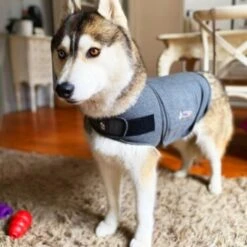 Thundershirt Beruhigungsweste Grau XS -Haustierprodukte 9a1e301e33f1361e91f7c9989e135033c3825116 854880001141.PT09