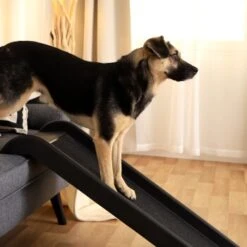 Lionto Hunderampe S -Haustierprodukte 9a27d9081358a028a1b72ead7080510044a8169e 1666004 de DE f64b973e1493edf7fe4f36b8d999583502db377cygQs3E