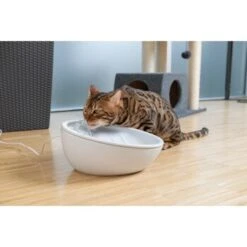 AniOne Keramik-Trinkbrunnen Waterfall Weiß Ohne Ersatzfilter 10 AniOne Keramik-Trinkbrunnen Waterfall Weiß Ohne Ersatzfilter -Haustierprodukte 9ab78e65ebaf72b76c537cd735c5a7cd6cd4d027 a897eca6393f48ff54c98954a2b189a96196cfbd