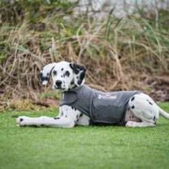 Thundershirt Beruhigungsweste Grau XS -Haustierprodukte 9b6b99fb9c0e02a64cc609b7ca852c71d17d0d84 1102942 2