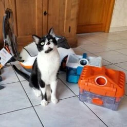 THOMAS Staubsauger -Haustierprodukte 9c1c711bdc998f487ed8c24bc96dc66adbb9a8a0 1406733 de DE c0788b12d8ca7e012c5c5d1a7cf9568fa3623544LvViH7