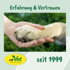 CdVet Ohrenpflege 50ml -Haustierprodukte 9ed4fc954232c5e8e57d3234b374c19f2505100c 1322257 de DE 9de31ae422c889f65e12a1085ee6ba81b11de6a36QDt4Q