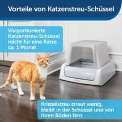 PetSafe ScoopFree Katzentoilette, Haube -Haustierprodukte 9f53ca90b171b847d777a219cd590baeb64c7e15 1368110 de DE be1af9fc2226731c8a8ce64e8c71ecd612a085e0SNiC7j