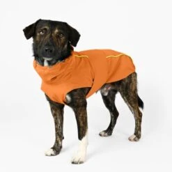 THE DOG IDEA Regenmantel Duke Orange XXXS 10 THE DOG IDEA Regenmantel Duke Orange XXXS -Haustierprodukte a1af009970fbe0d49b23b55aae3478442e9eb5e6 1473000 de DE e975935bd14ae10e3cbf4709cc9d05a6879844e2TUSiIw