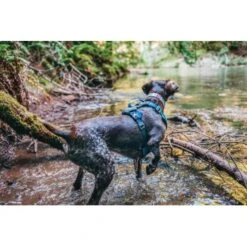 Kurgo Journey Air Hundegeschirr Blau/ Grau L 11 Kurgo Journey Air Hundegeschirr Blau/ Grau L -Haustierprodukte a4350be6a2cf19b9d7aaa9c1b93505a674fae49c 1353742 de DE d9d61dbeff29f339bbfc0a1de7ebbca10df26980OCBtYH