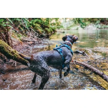 Kurgo Journey Air Hundegeschirr Blau/ Grau L 3 Kurgo Journey Air Hundegeschirr Blau/ Grau L – Bild 3