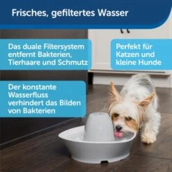 PetSafe Trinkbrunnen Streamside 9 PetSafe Trinkbrunnen Streamside -Haustierprodukte a4863bb01c9defc206f3abadb7407b11767619bd 1423698 de DE d7c376710365041814bb26a7ca9d55a6a9011fd8Nm0GoI