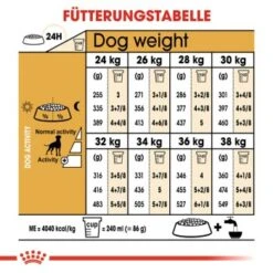 ROYAL CANIN Boxer Adult 12 Kg -Haustierprodukte a58a2e56327fe13ff562430fe2a717c4b813da5d c3e4b03382ad86635bf9a3de6c769fcd5eded95a