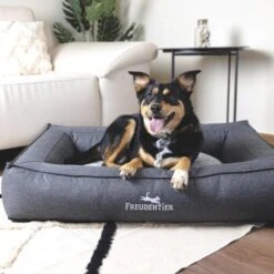 Freudentier Orthopädisches Box Hundebett Siebenschläfer M -Haustierprodukte a5e52a27b6efa7cff67967197f1e12ef63c601a3 1477909 de DE 0e3346775cbe91d680a139b48e2958643f277017Xq6L3c