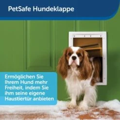 PetSafe Haustierklappe Für Extremes Wetter S -Haustierprodukte a6418c2f84c3e14467d7c91992b367da97c80c68 1279434 de DE fb7da59b7a5bf84ad58e13f5dc3d9cc04f4fa864u7H7aK