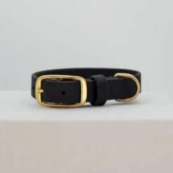 THE DOG IDEA Leder Halsband Schwarz S -Haustierprodukte a7385ab6457f47f1101b88948eec6c679b7901bd 1674225 de DE 7009bda0a8dd3466fcb33d198b1af269129bbcb5gcHuyD