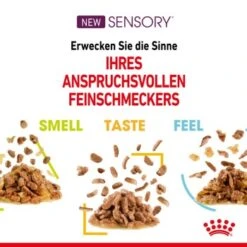 ROYAL CANIN SENSORY Smell Taste Feel Multipack In Soße 12x85g 10 ROYAL CANIN SENSORY Smell Taste Feel Multipack In Soße 12x85g -Haustierprodukte a9a771645f2a1a144deeeb087d684c4ad698eaa7 88dd5e1dde5216e725cdcdf2d5af0e877950757b