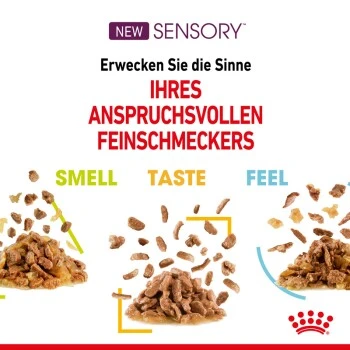 ROYAL CANIN SENSORY Smell Taste Feel Multipack In Soße 12x85g 3 ROYAL CANIN SENSORY Smell Taste Feel Multipack In Soße 12x85g – Bild 3
