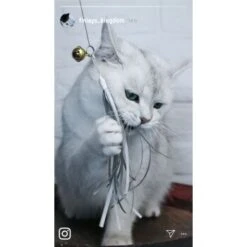 Kater Kasimir Premium Katzenangel Set Aus Buchenholz Mit 4 Handgemachten Anhängern -Haustierprodukte aaff0e9889f09f48c0cf35681edb62768ad623ee 1422145 de DE b29a5f7f2530ce6388e16e2600369d70b2ec0350dUIf7E