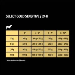 SELECT GOLD Sensitive Junior Huhn & Reis 10x125 G -Haustierprodukte acac353717cf7208fc5e851685e3873075b7d9f2 1246278 de DE 7