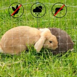 Lionto Katzennetz Inkl. Befestigung 6 Lionto Katzennetz Inkl. Befestigung -Haustierprodukte ad1b651d8bcc461ab7a5d32a4c77b44e521cf768 1665913 de DE 7c500006d9abf3223e26fa8841d70bed2db024adIv4nbt