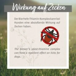 Aniforte Zecken Schild (35 Bis 50kg) Für Große Hunde 60 Kapseln -Haustierprodukte ad2de8fc0b4c8ddf396130dcf73c32c9c0c892f7 1444358 de DE 6700813aa03bffd9cf2beb8a7d73b7965a418ce5MKcQzS