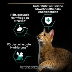 PRO PLAN PURINA Sterilized Nutrisavour 26x85g Huhn -Haustierprodukte ad5acb3a65c3e7c2161685d8ab3f42e857a3b01a 1361777.fb5