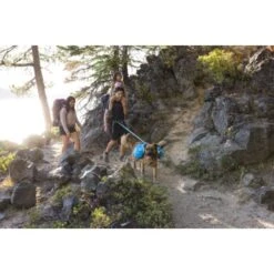 Ruffwear Approach™ Hunderucksack Blau M 21 Ruffwear Approach™ Hunderucksack Blau M -Haustierprodukte adb6fe53f35c002880a11fdf955223282473e71e 1639823 de DE d58a64010d5b9dcf26c55b9da34cfb41fef50ac2cwioux