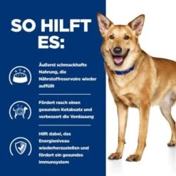 Hill's Prescription Diet Digestive Care I/d Mit Huhn 4 Kg -Haustierprodukte aec07d1c4537753428e8965c265de8b101de060f ae761794660977e7a486e614e12e339a678461f0