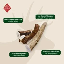 ChronoBalance Geweih Ganz (XXL) 2er Paket -Haustierprodukte af79b1ab62f690deb0da53bed01d5f90a9e27e31 1418694 de DE 97f6faa2e066481717c6e9970bb381a3824303b8QNcbfh