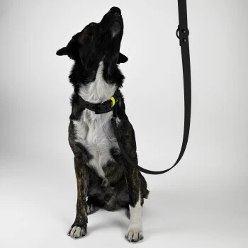 THE DOG IDEA Biothane Hundeleine Schwarz Schwarz 2 THE DOG IDEA Biothane Hundeleine Schwarz Schwarz – Bild 2