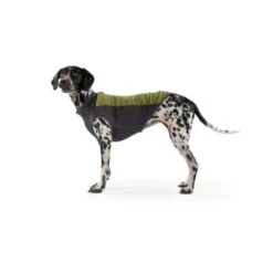 Ruffwear Climate Changer™ Fleece-Pullover Für Hunde Rot S -Haustierprodukte b28669818d8fcb81e0661ed639732808849f280a 1369661 de DE 64aaf340211e6364e47cd57e7a205b9b6074a78fHTZZhE