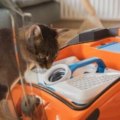 THOMAS AQUA+ Pet & Family 20 THOMAS AQUA+ Pet & Family -Haustierprodukte b29d283b30c65b5964c108db9c904b2f1515a2bd 1408595 de DE b994e116c03c39866ce7571239028dd963780376lYoXei