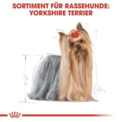 ROYAL CANIN Yorkshire Terrier Adult 1,5 Kg -Haustierprodukte b2f5184395c498d76eeaf1a3805977dc6baac69a 8525a84bc8bceef91a6ba9ef3810aac1dcf98bbb