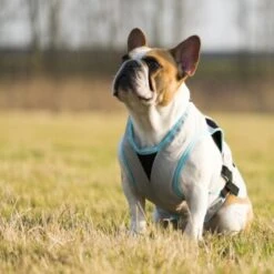 Trovet Suitical Kühlweste Dry Cool M -Haustierprodukte b32e0654ab987d26790de796cf13d2e54cbed73f 1321386 de DE Trovet suitical 6 Kopie