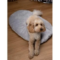 TrendPet Emma Liegekissen Grau S -Haustierprodukte b48aa1ae4cf4d68ec69ba4c37d516f74528715ee 1369472 de DE b2ffa28c3681679283b9f0b59962e0ca3348cc04HFyDSJ