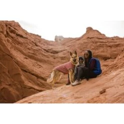 Ruffwear Hemp Hound™ Sweater Rosso M -Haustierprodukte b5165b497ab2ca12deabc5b7372706595a781875 1639886 de DE 86e1a268a8e48c7c0eda07c50072b9e29b38b607mGQtvr