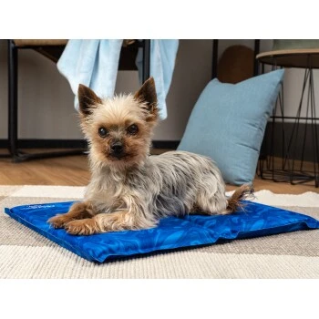 TrendPet Arctic Comfort 20 Mm Premium Kühlmatte Blau XS 2 TrendPet Arctic Comfort 20 Mm Premium Kühlmatte Blau XS – Bild 2